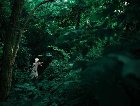 汽车自驾游杂志，探索未知的旅程与乐趣-